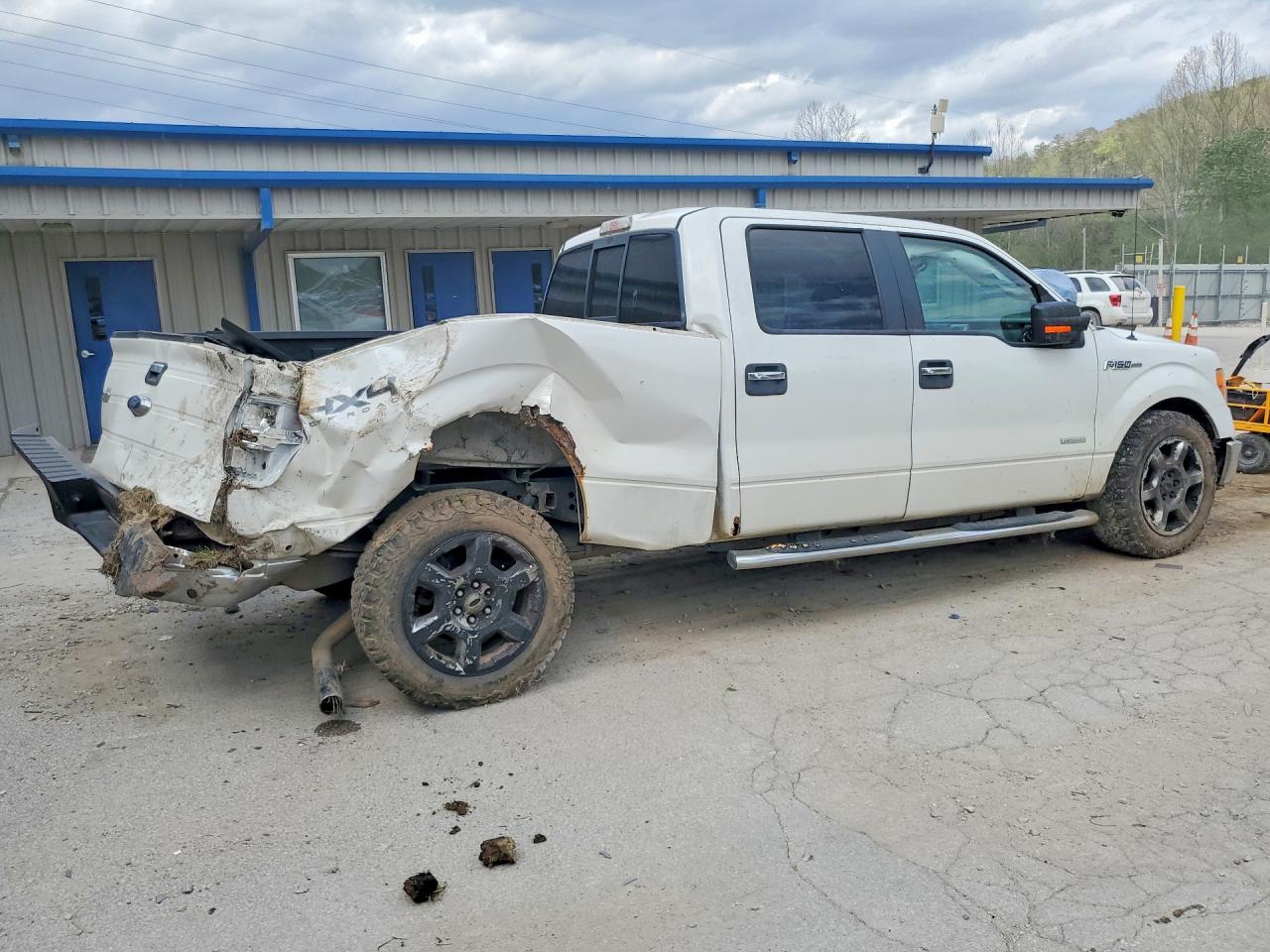 2013 FORD F150 SUPERCREW photo 7