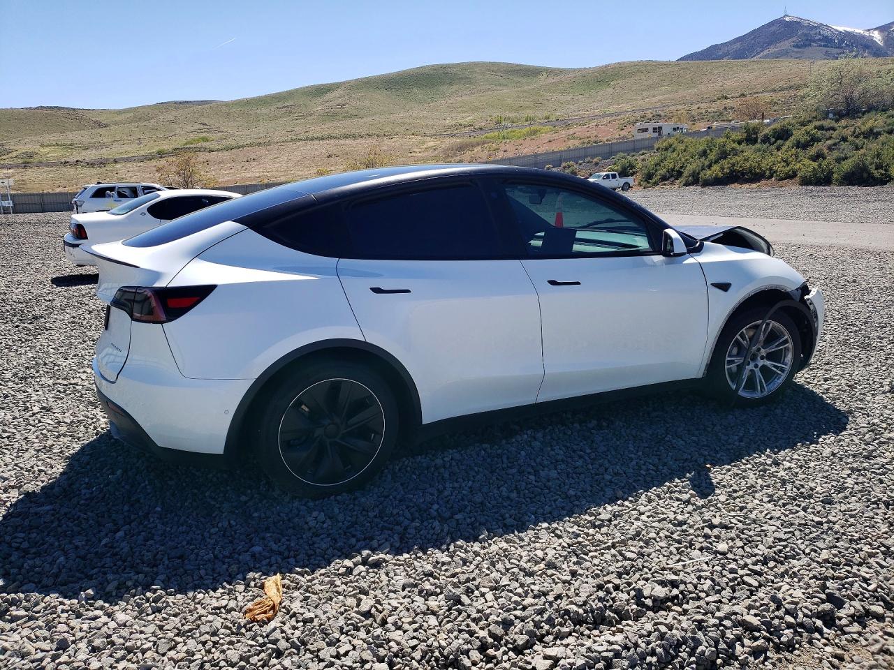 2021 TESLA MODEL Y photo 3