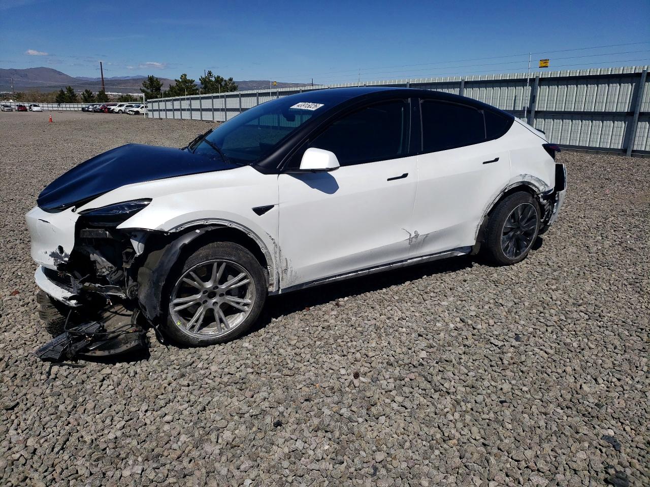 2021 TESLA MODEL Y