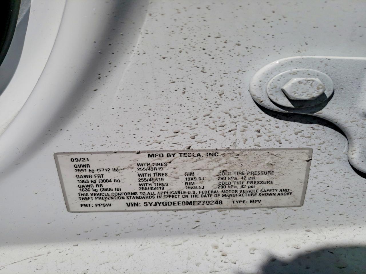 2021 TESLA MODEL Y photo 13