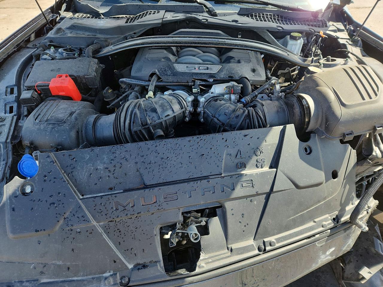 2024 FORD MUSTANG DARK HORSE photo 11