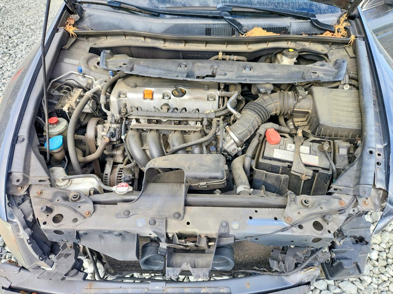 2012 HONDA ACCORD LXP photo 21