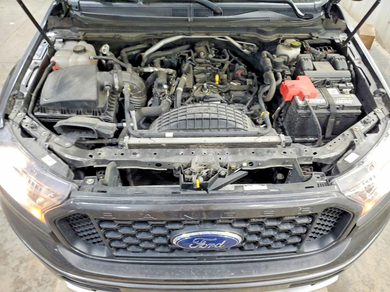 2019 FORD RANGER XL photo 11