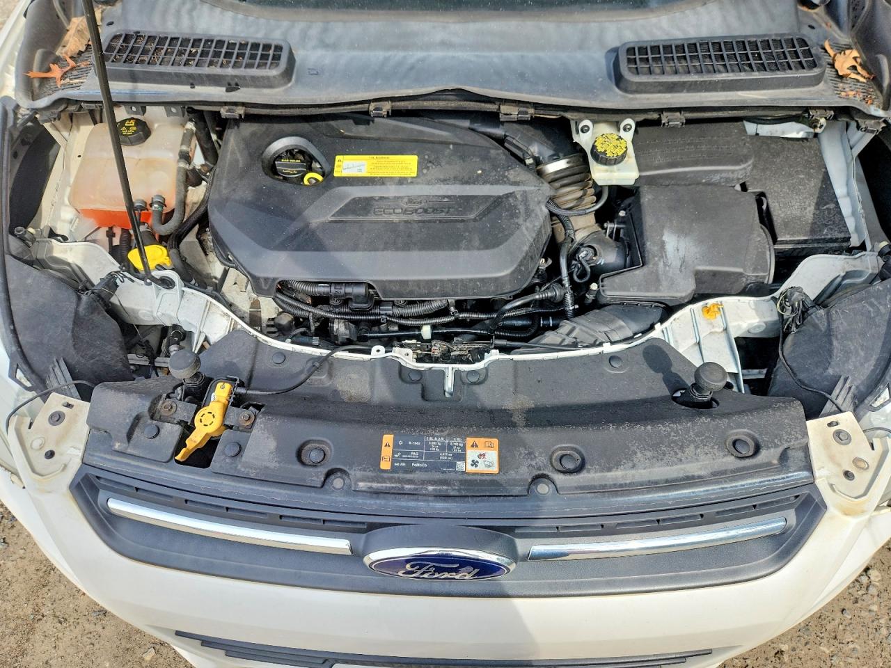 2014 FORD ESCAPE SE photo 34