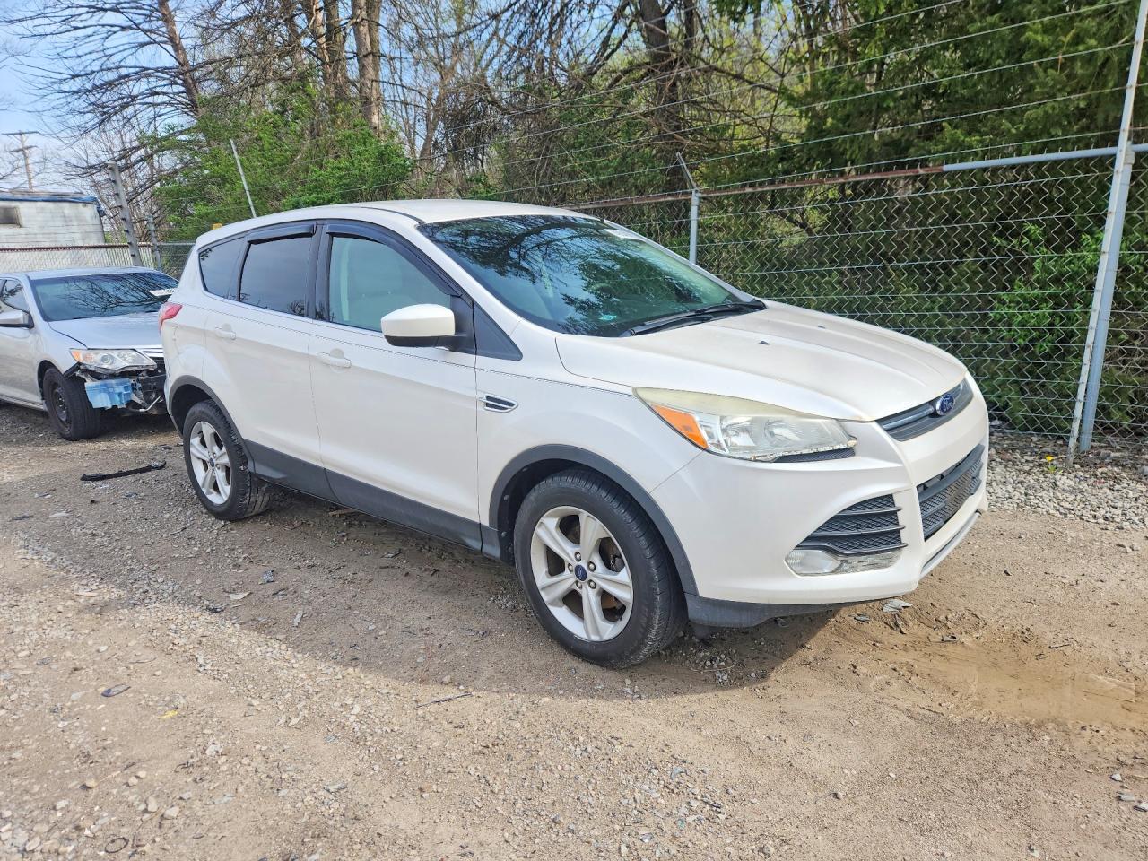 2014 FORD ESCAPE SE photo 10