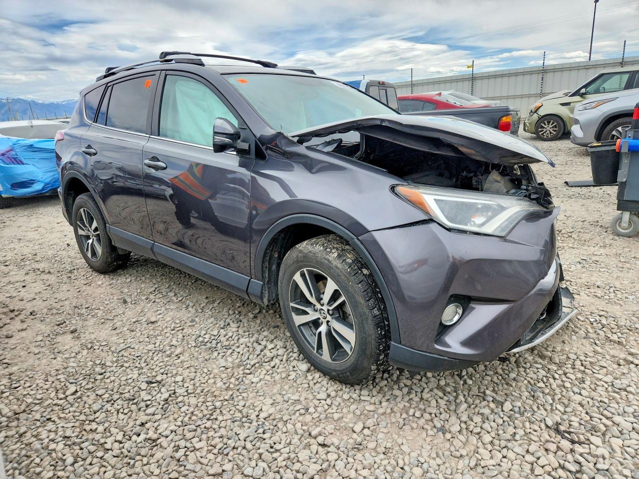 2016 TOYOTA RAV4 XLE photo 10