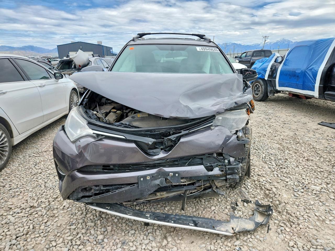 2016 TOYOTA RAV4 XLE photo 13
