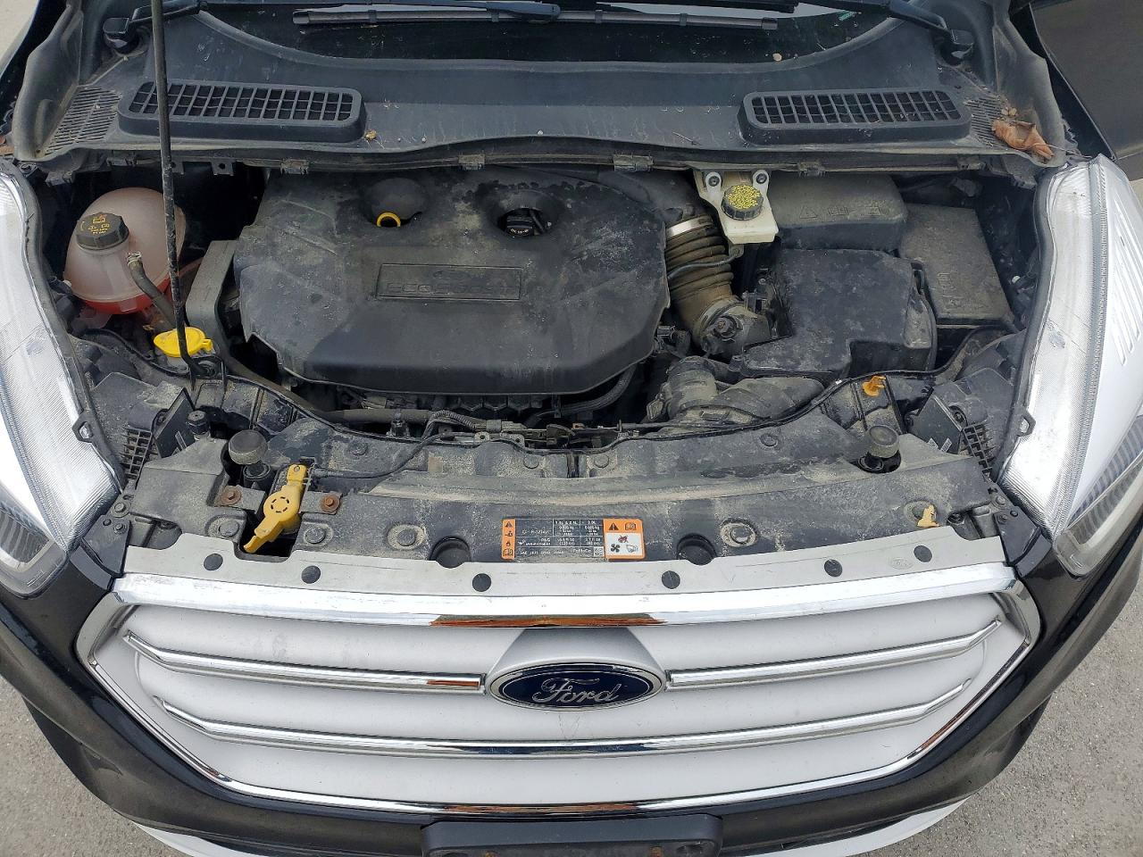 2019 FORD ESCAPE TITANIUM photo 31
