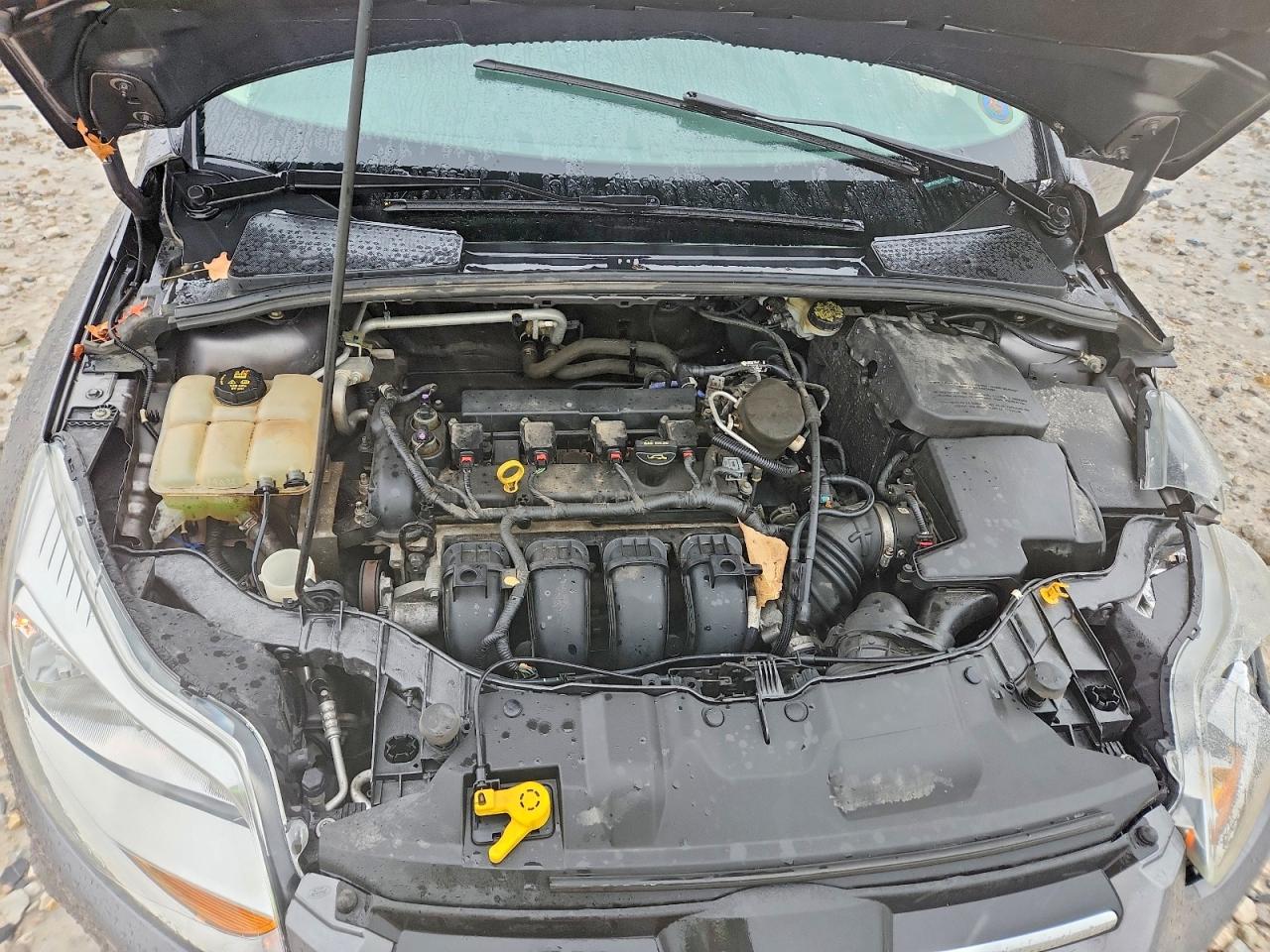 2014 FORD FOCUS SE photo 21