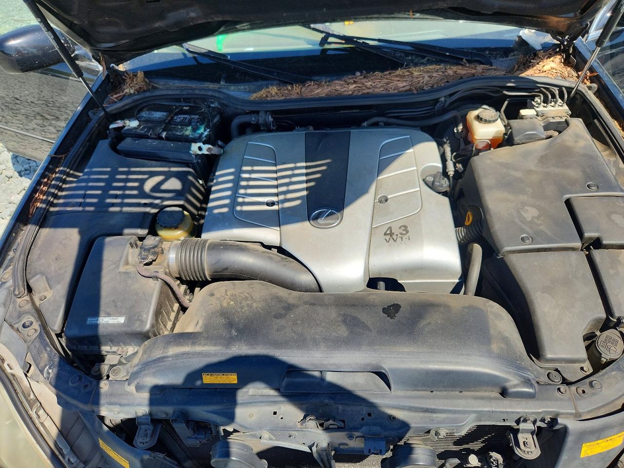 2004 LEXUS LS photo 11
