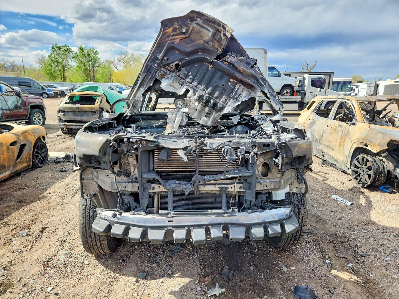 2024 TOYOTA TACOMA SR5 photo 9
