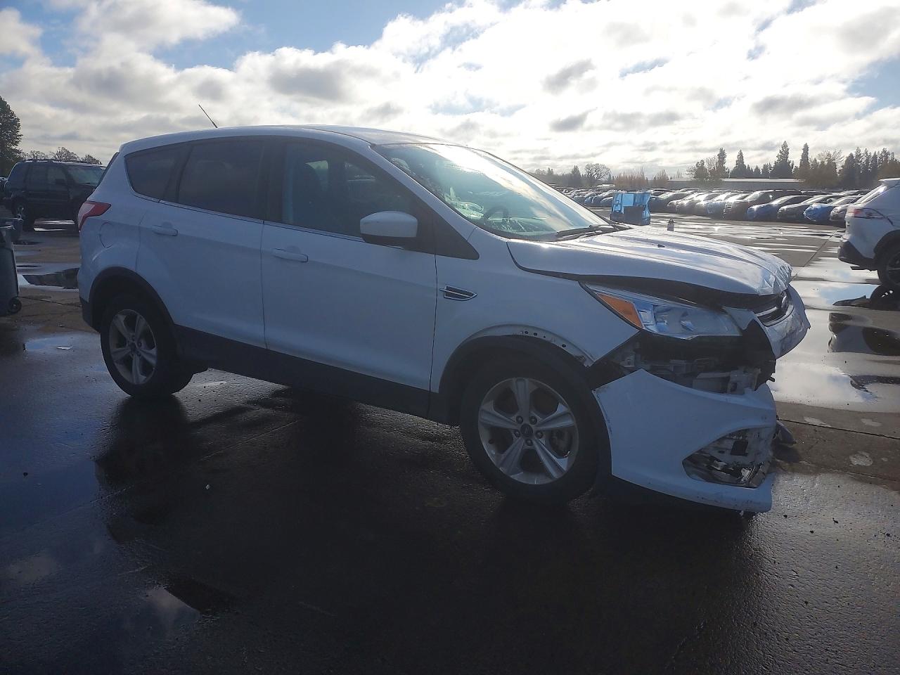 2013 FORD ESCAPE SE photo 10