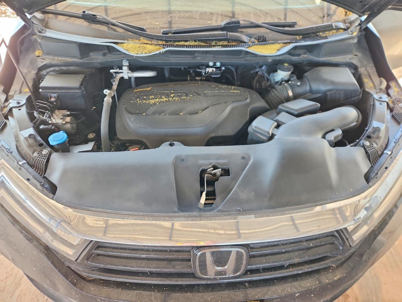 2024 HONDA ODYSSEY EXL photo 34