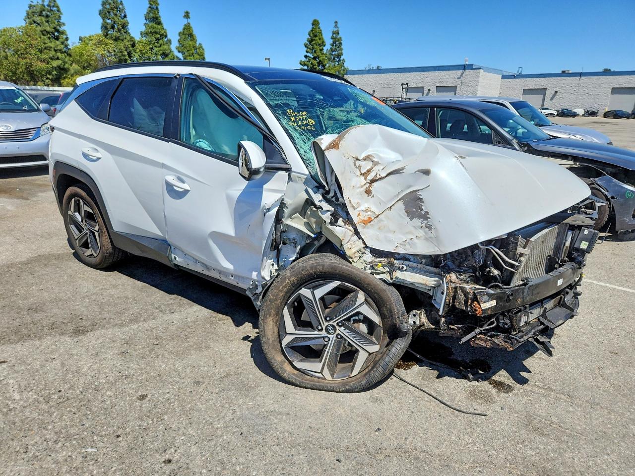 2024 HYUNDAI TUCSON SEL CONVENIENCE photo 7