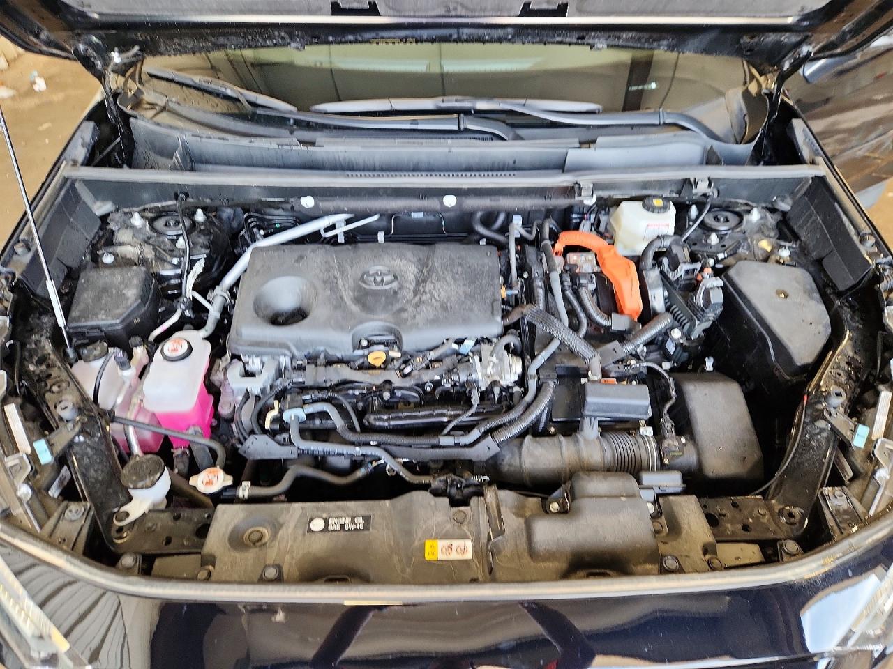 2024 TOYOTA RAV4 XLE PREMIUM photo 12
