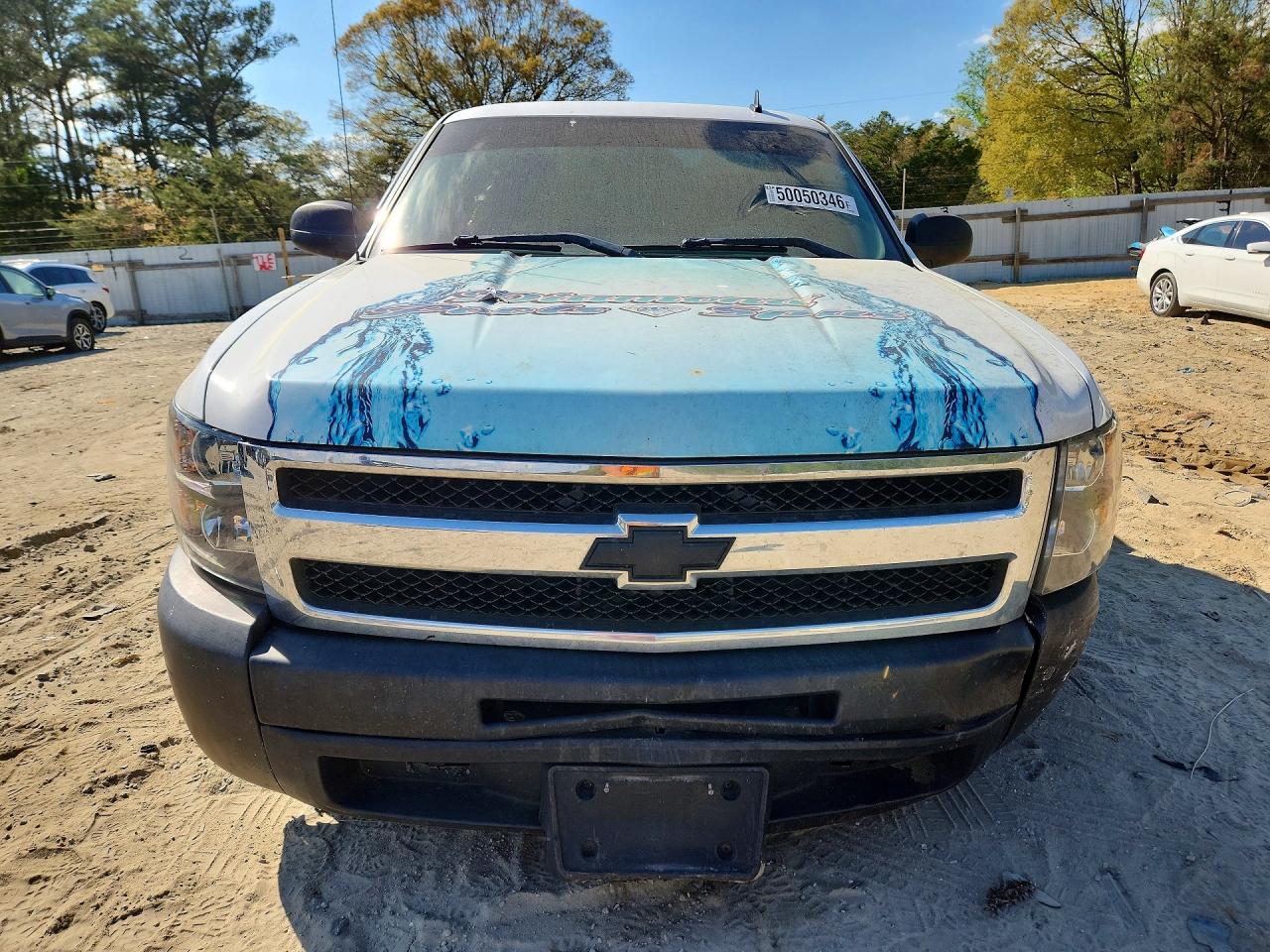 2009 CHEVROLET SILVERADO C1500 photo 9