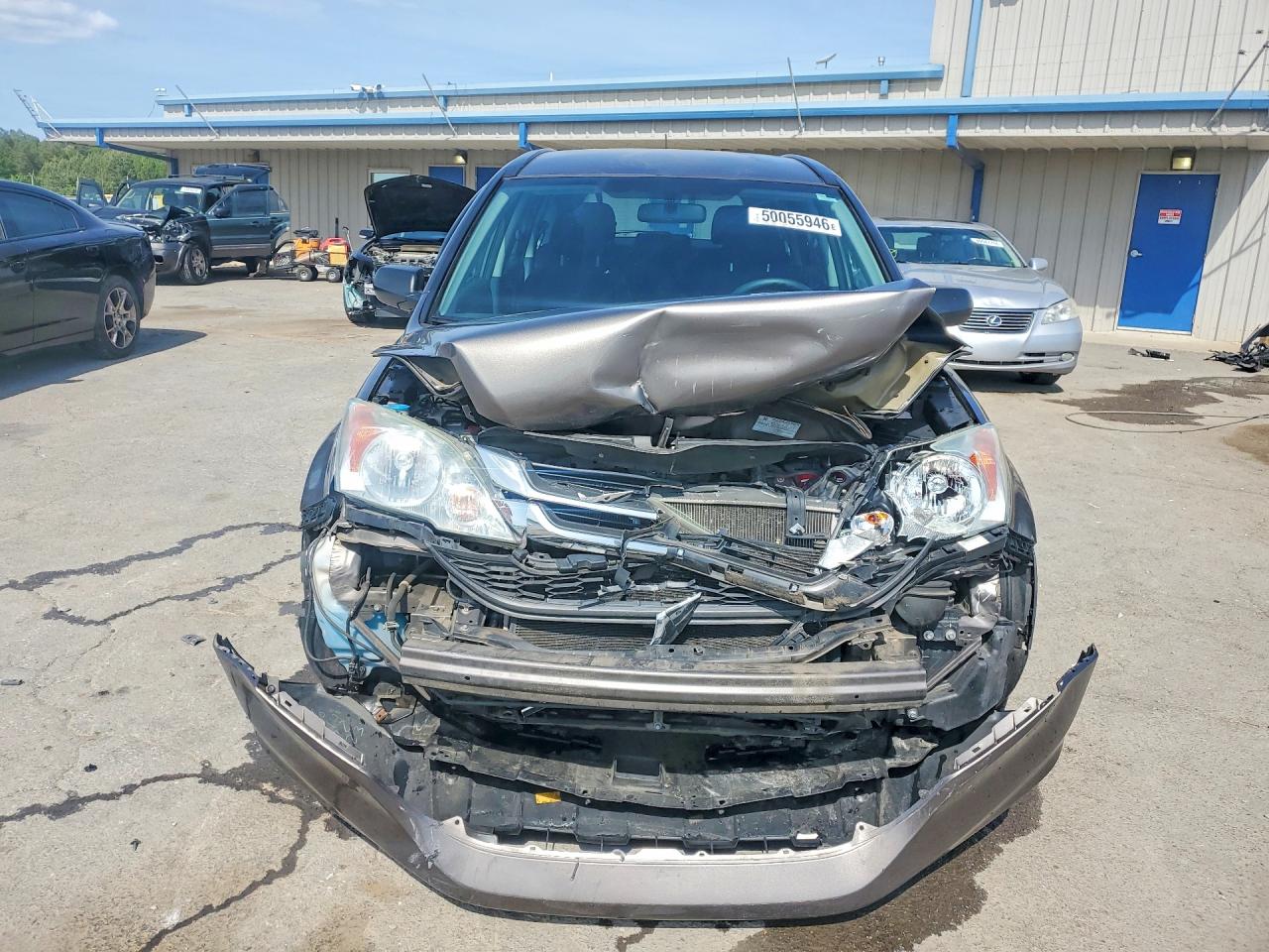2010 HONDA CR-V LX photo 5