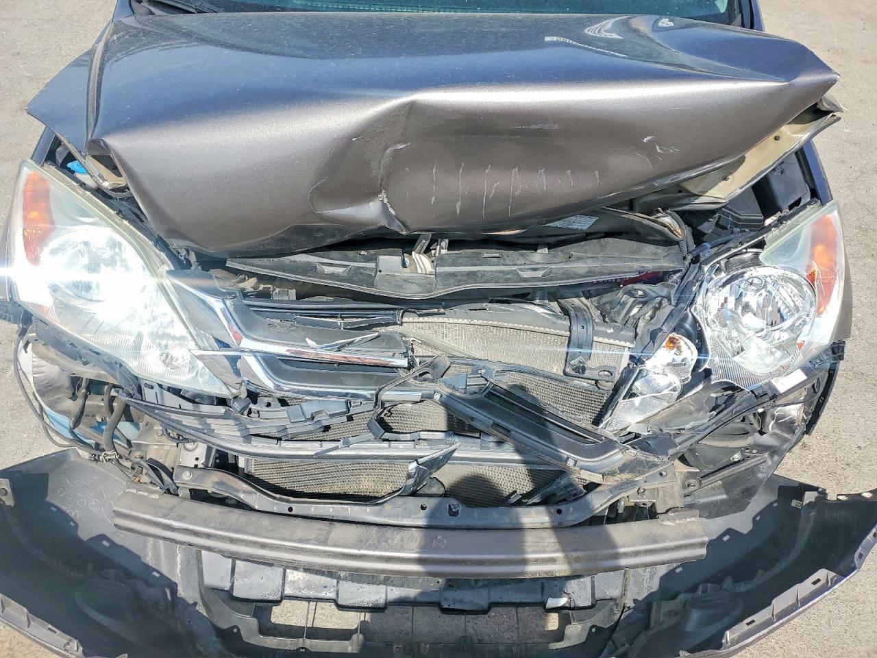 2010 HONDA CR-V LX photo 11