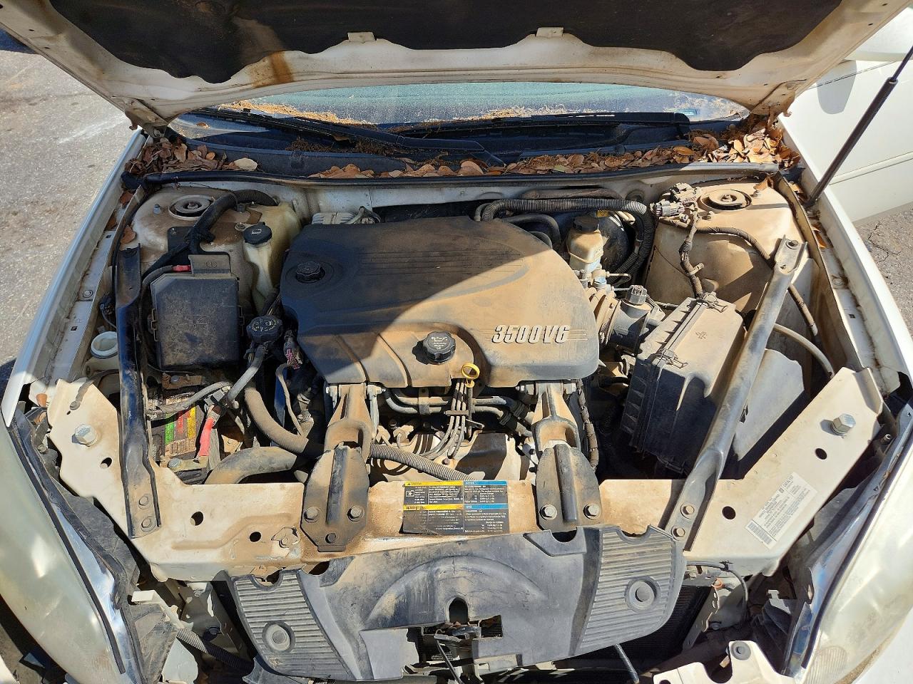 2007 CHEVROLET IMPALA LS photo 11