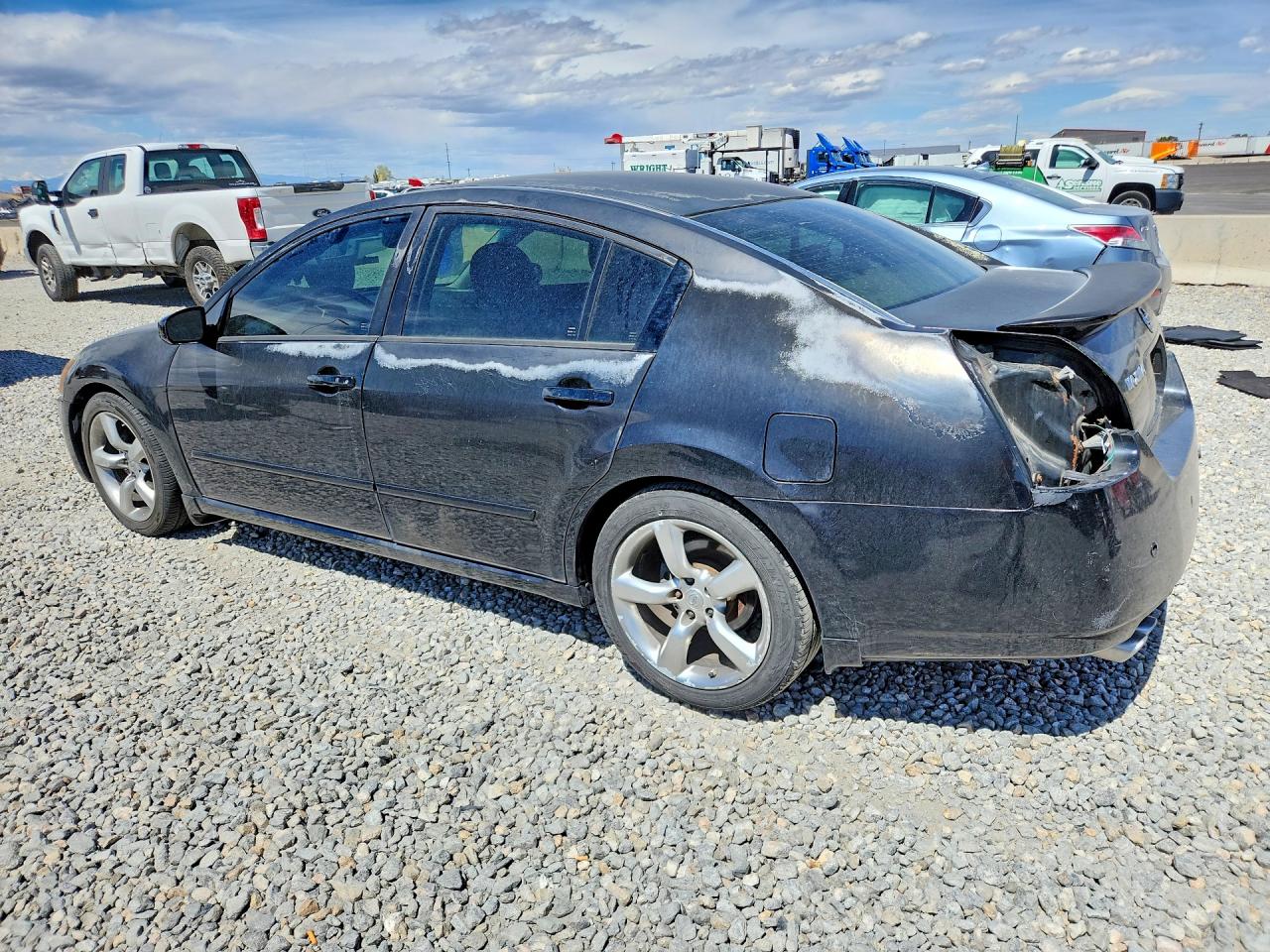 2007 NISSAN MAXIMA 3.5 SE photo 3