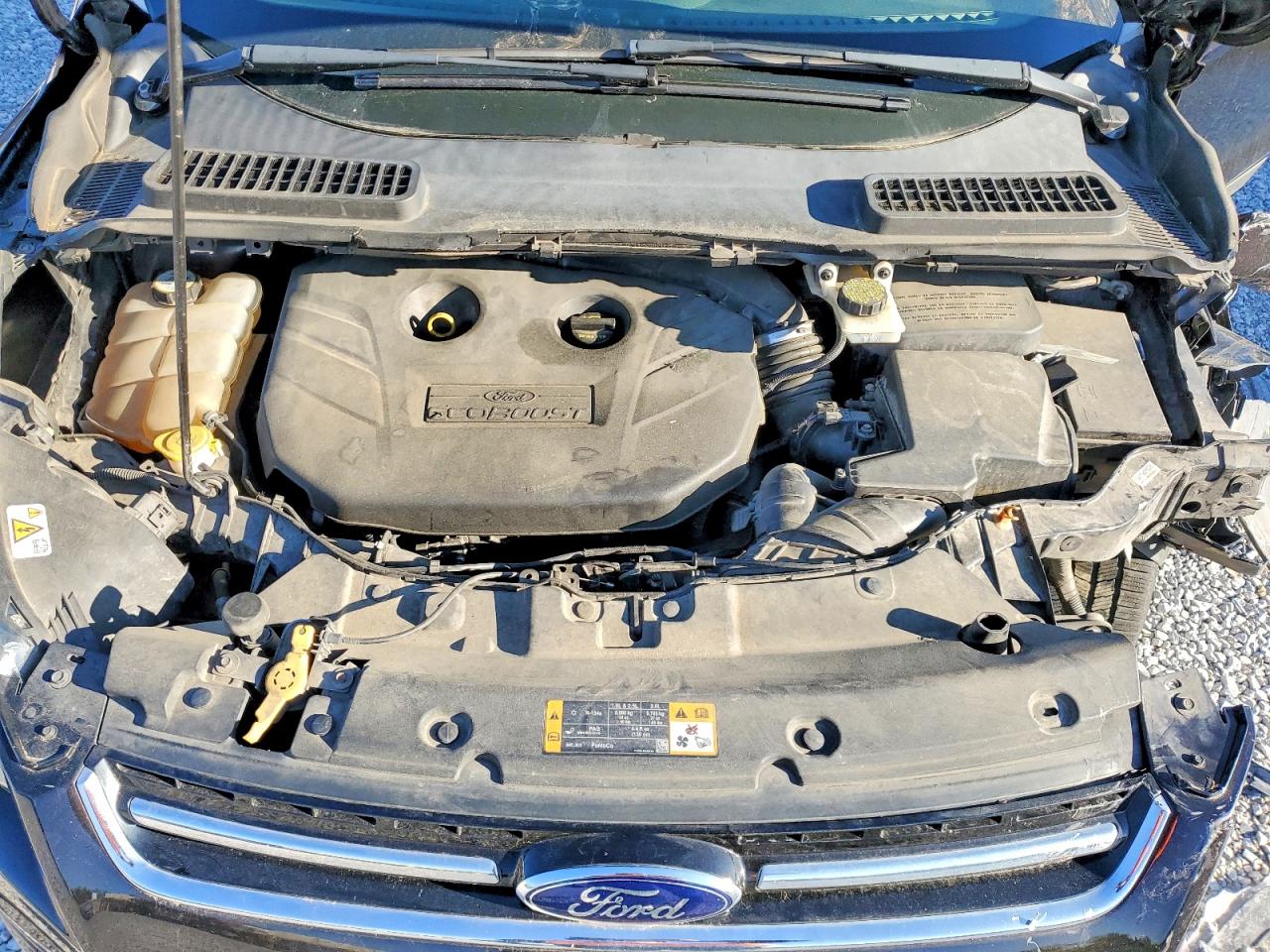 2013 FORD ESCAPE TITANIUM photo 12