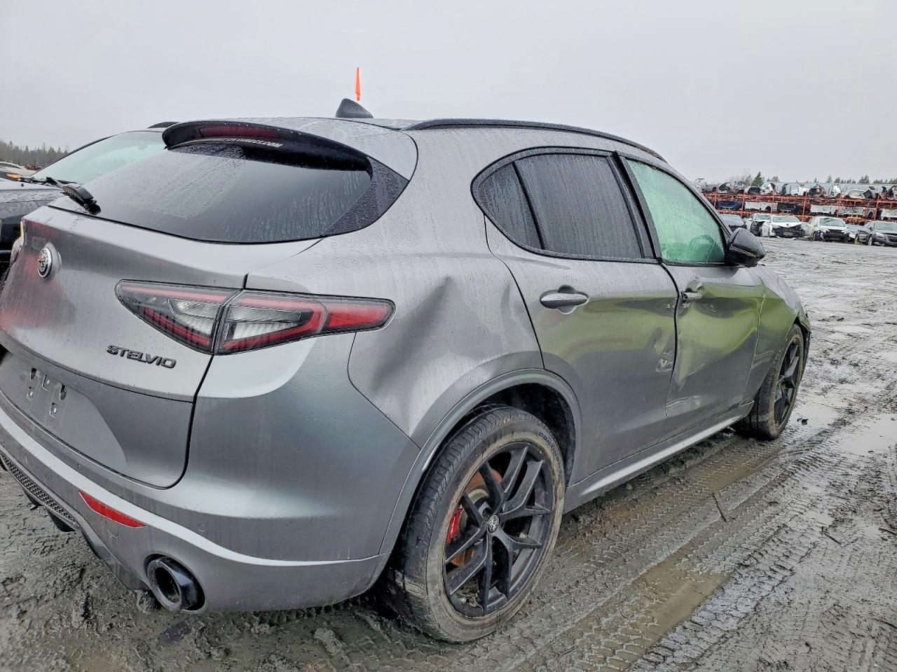 2021 ALFA ROMEO STELVIO TI photo 7