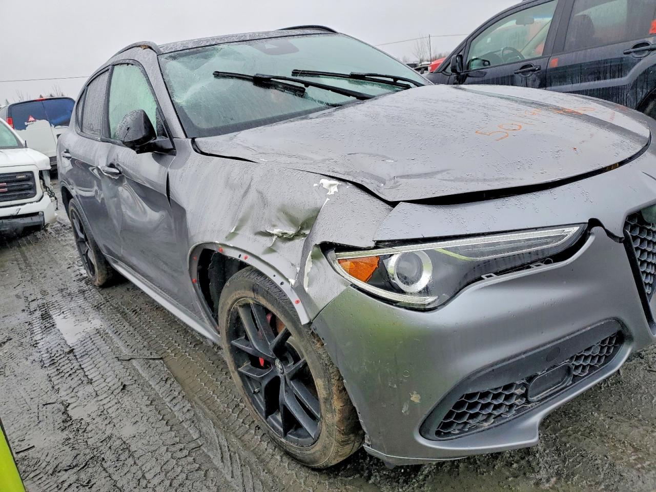 2021 ALFA ROMEO STELVIO TI photo 10