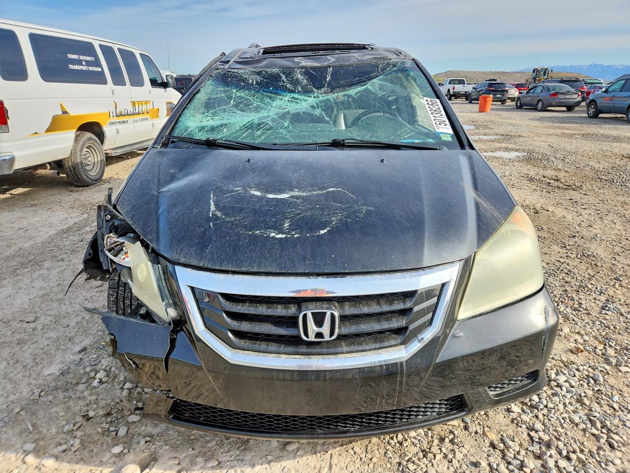 2010 HONDA ODYSSEY EXL photo 13