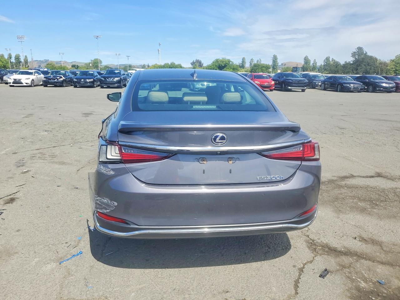 2020 LEXUS ES 300H photo 6