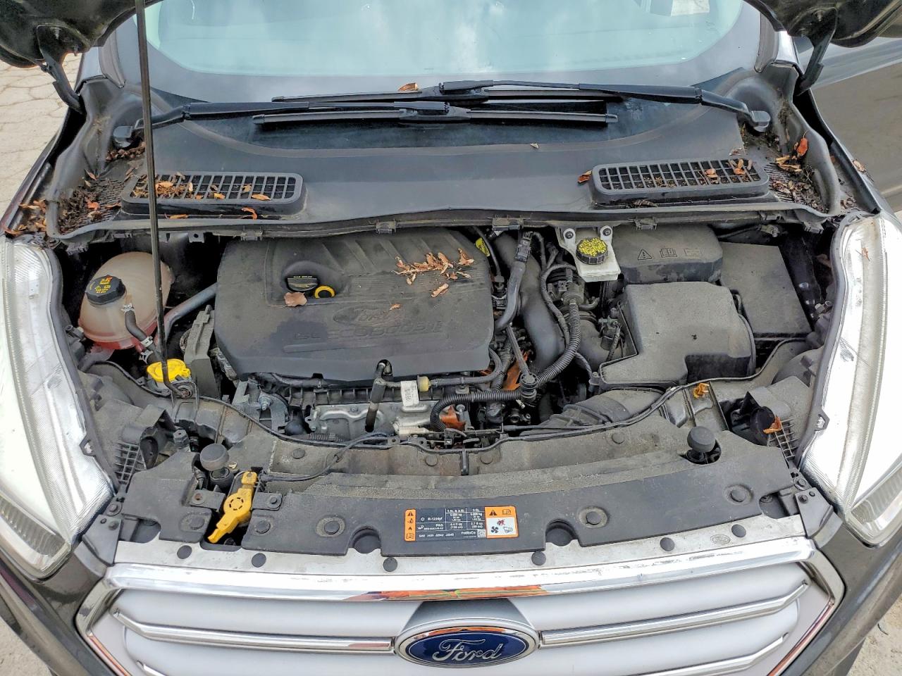 2017 FORD ESCAPE SE photo 34