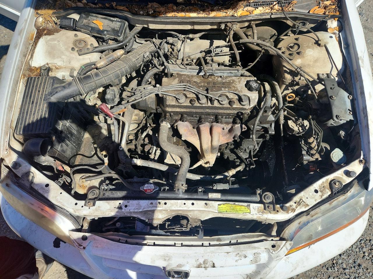 2002 HONDA ACCORD EX photo 21