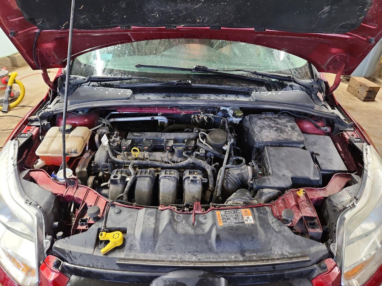 2014 FORD FOCUS SE photo 11
