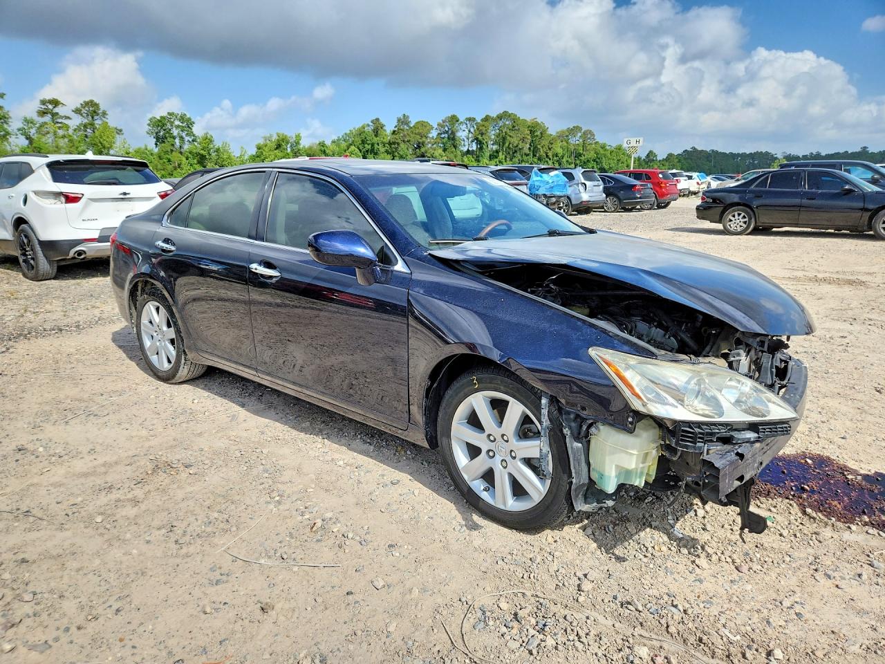 2007 LEXUS ES 350 photo 10
