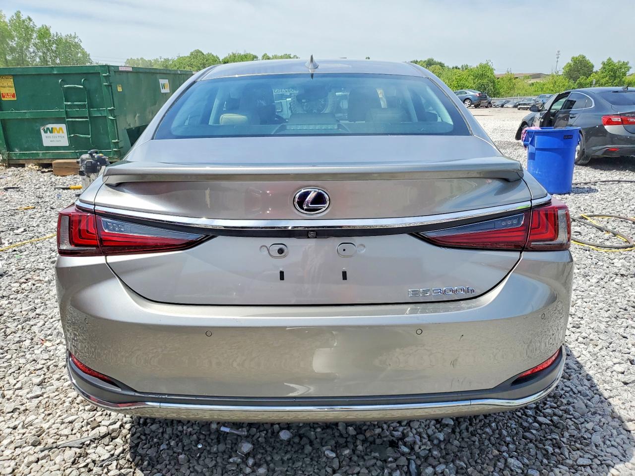 2020 LEXUS ES 300H ULTRA LUXURY photo 16
