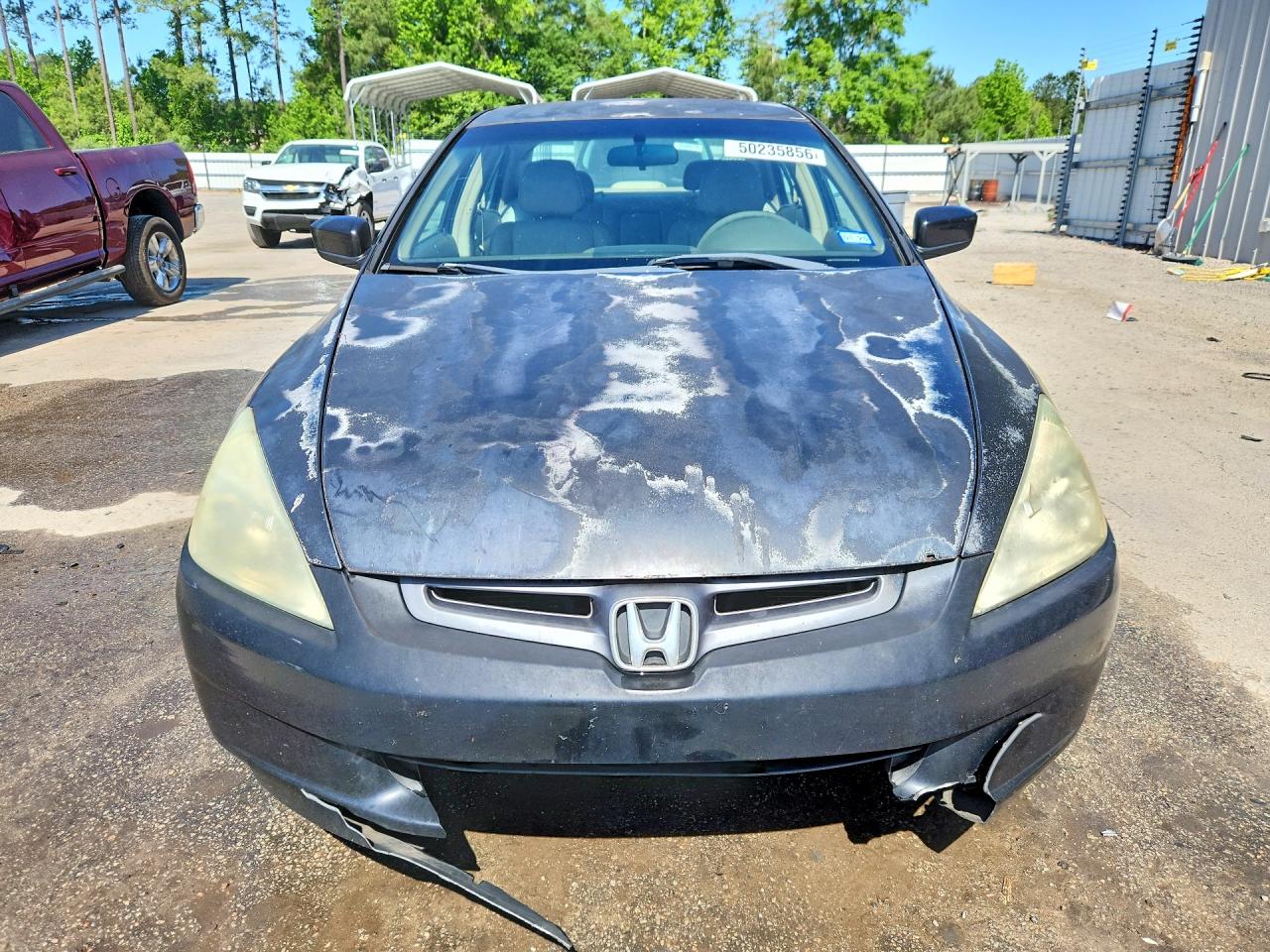 2004 HONDA ACCORD LX photo 5