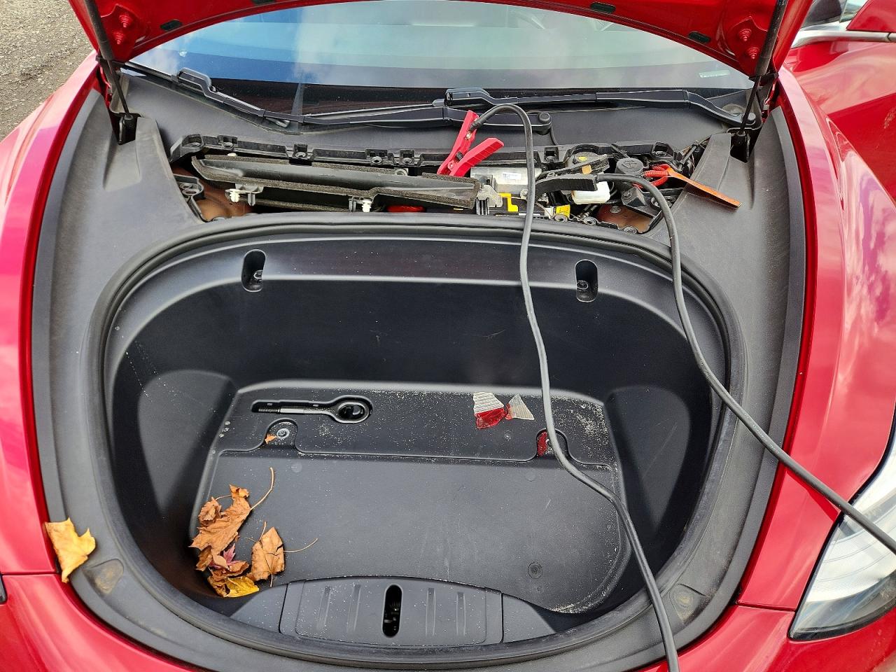 2020 TESLA MODEL 3 photo 11