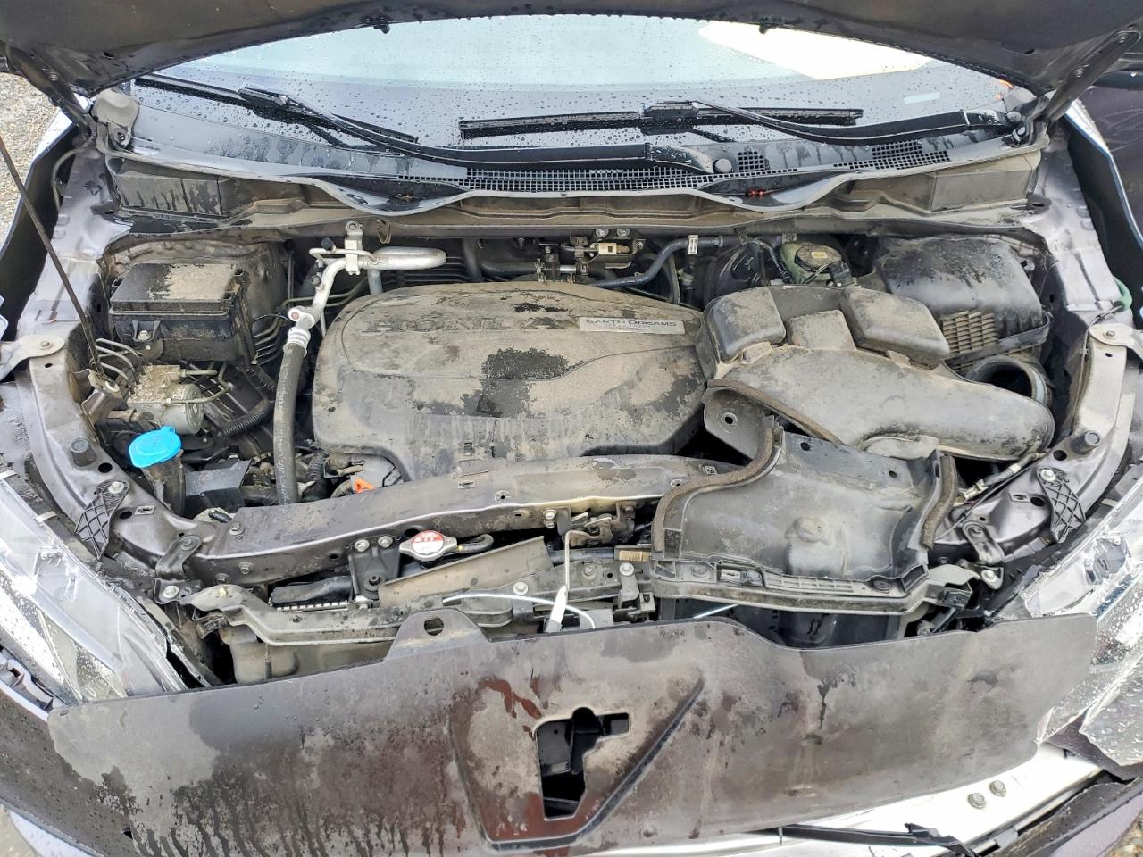 2019 HONDA ODYSSEY EXL photo 34