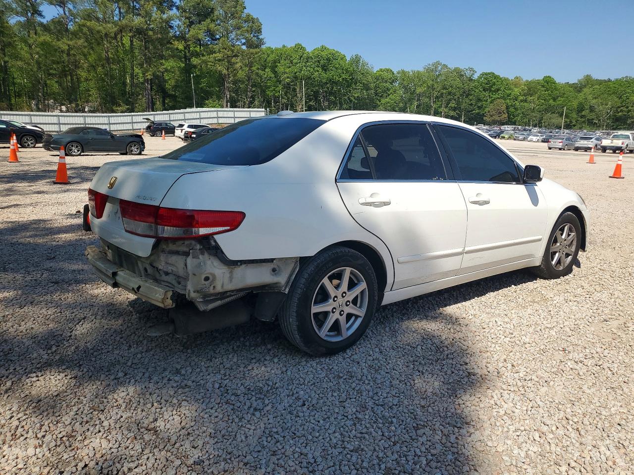 2004 HONDA ACCORD EX photo 5