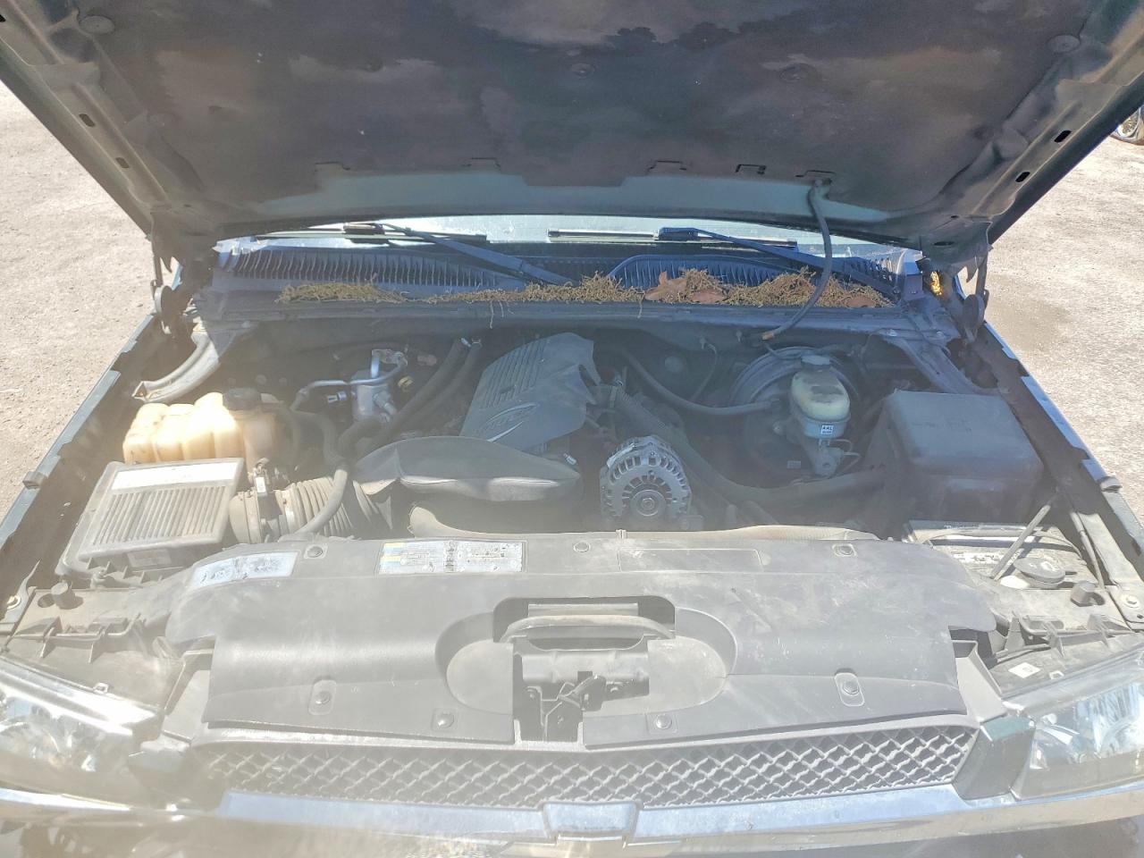 2005 CHEVROLET SILVERADO C1500 photo 11