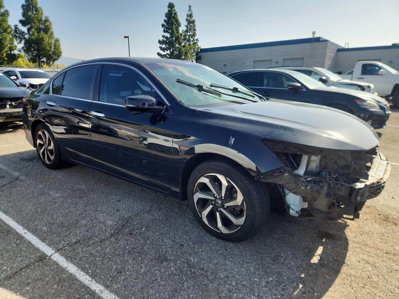 2016 HONDA ACCORD EXL photo 7