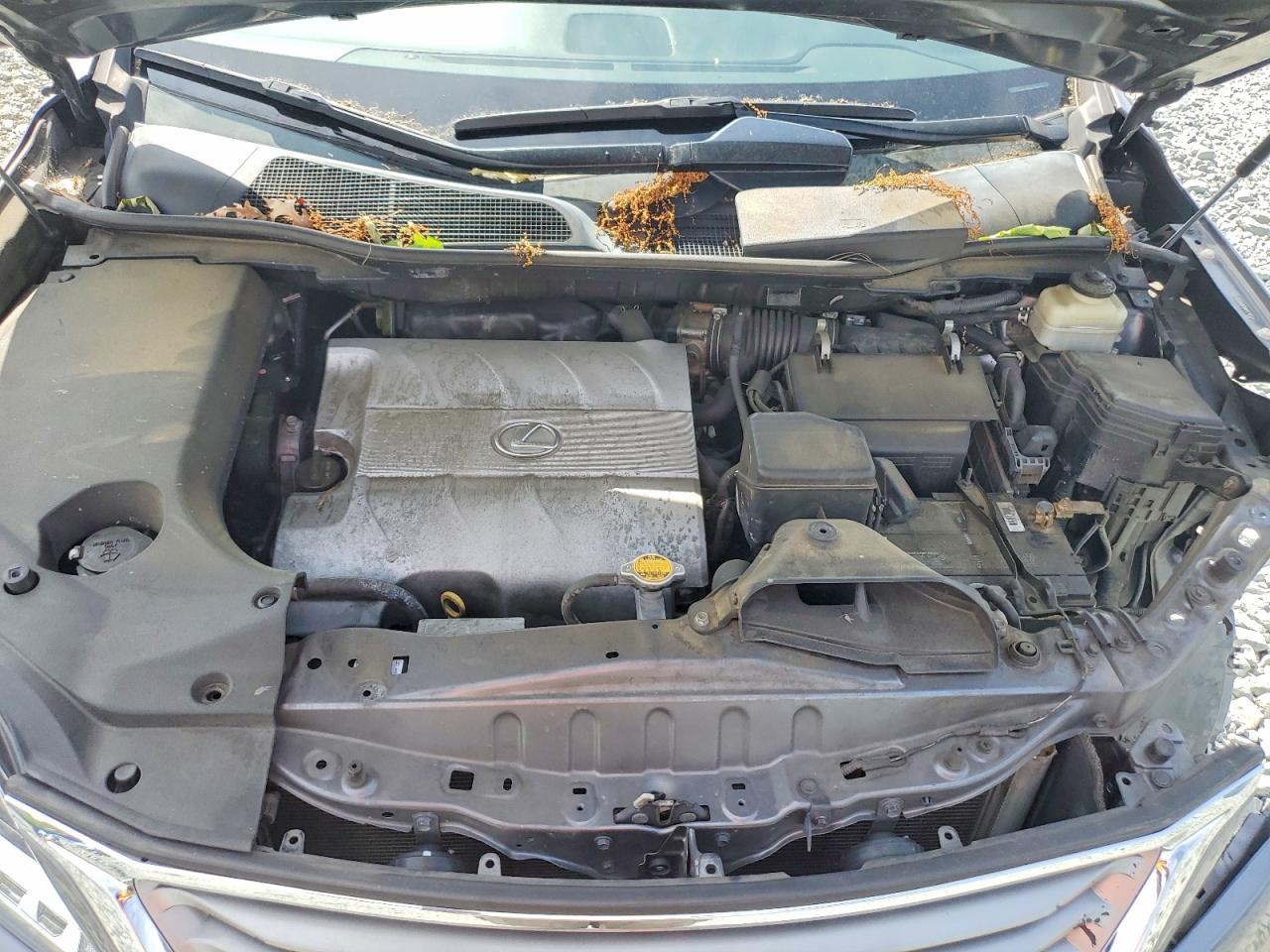 2015 LEXUS RX 350 photo 23