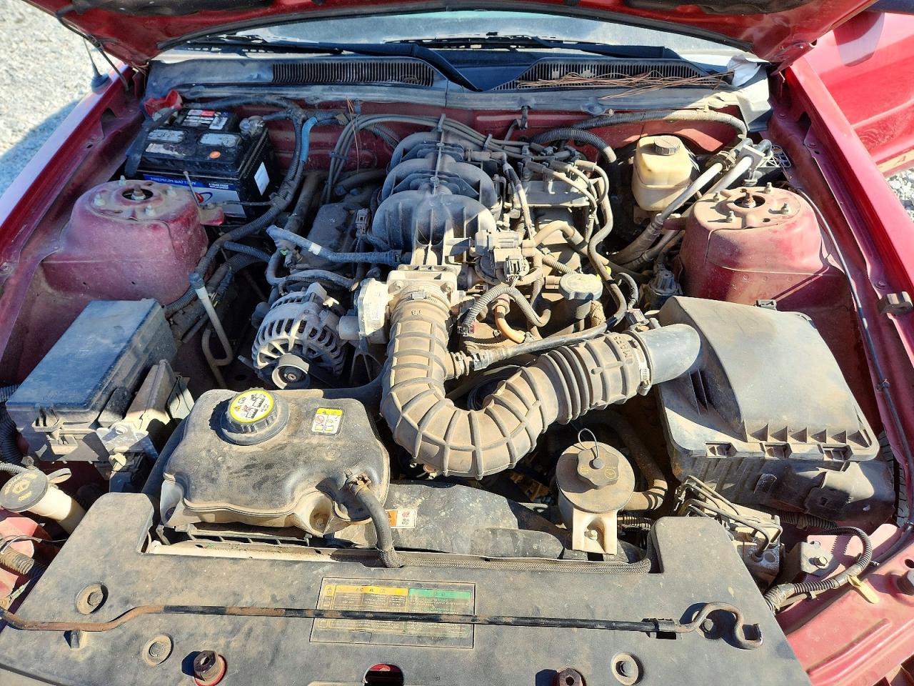 2008 FORD MUSTANG photo 21