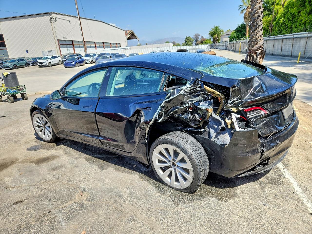 2022 TESLA MODEL 3 photo 4