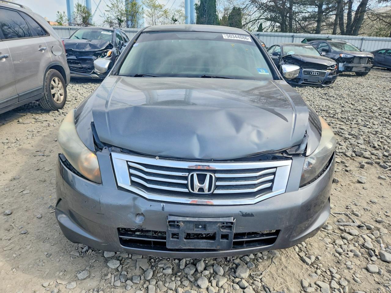 2010 HONDA ACCORD LXP photo 13