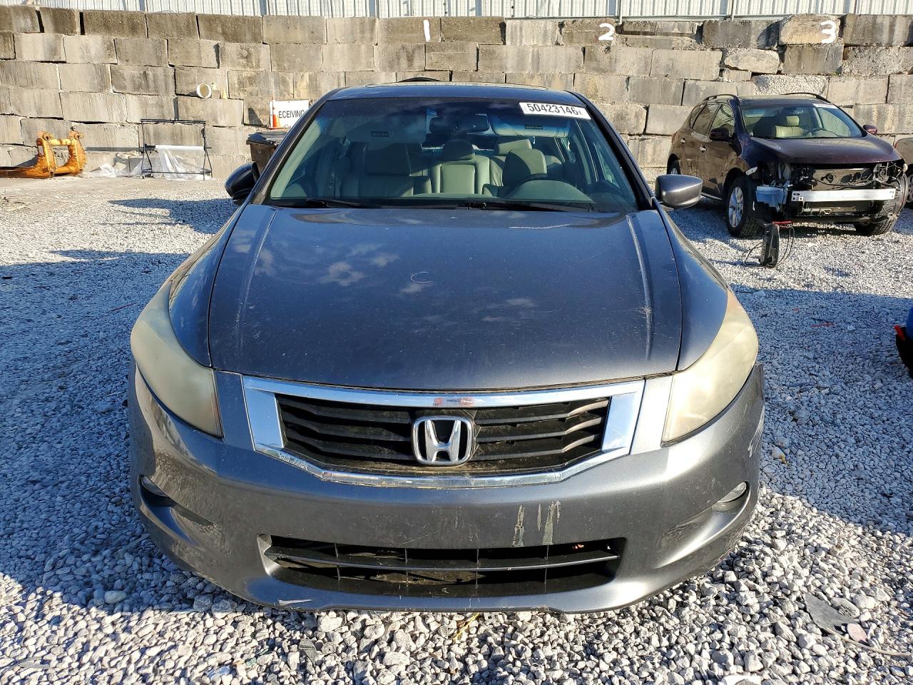 2009 HONDA ACCORD EXL photo 9