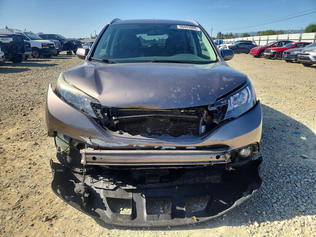 2013 HONDA CR-V EXL photo 5
