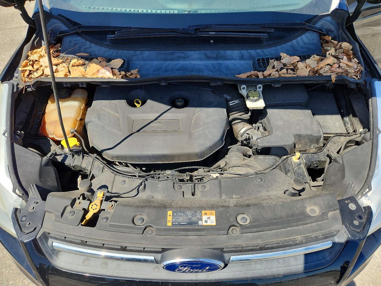 2016 FORD ESCAPE SE photo 34