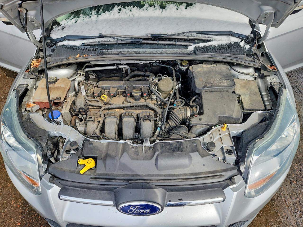 2013 FORD FOCUS SE photo 11
