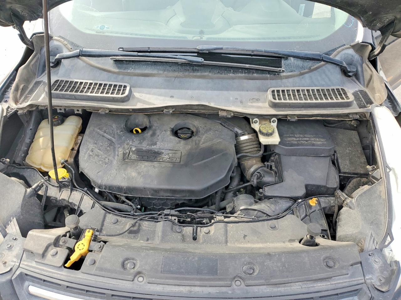2014 FORD ESCAPE SE photo 12