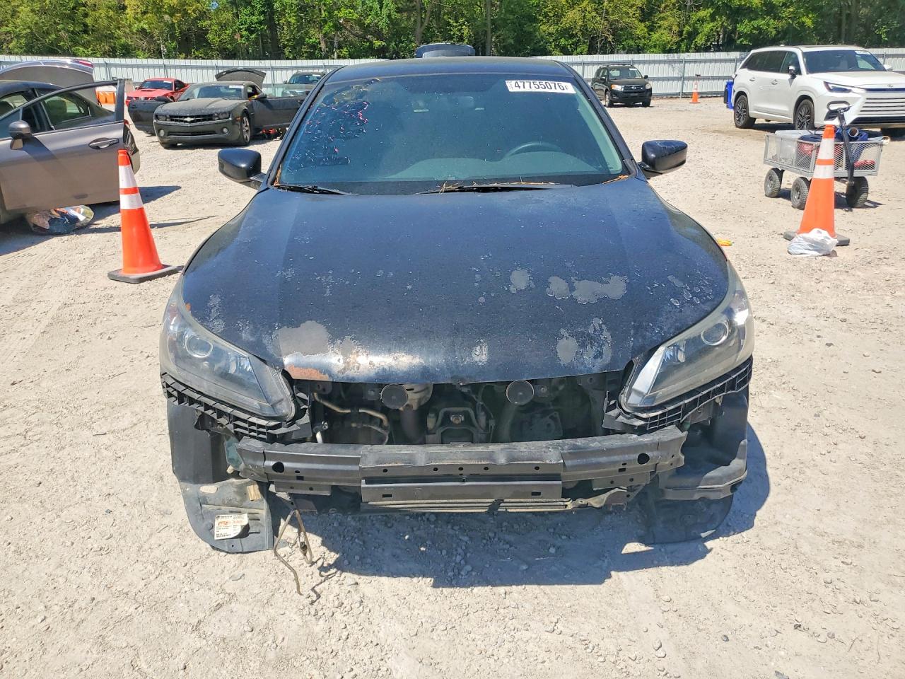2013 HONDA ACCORD LX photo 9